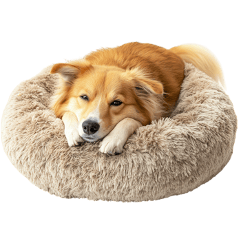 Relaxed Dog Plush Pet Bed on transparent background. png