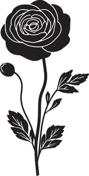 Ranunculus flower symbol in black style vector