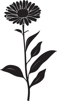 Minimalist black silhouette of an aster flower in format vector