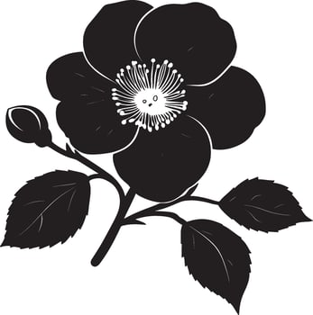 Minimalist black silhouette of a camellia flower in format vector