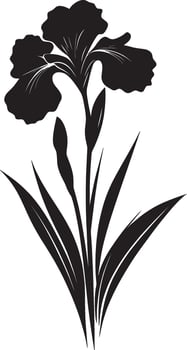 Iris flower simple silhouette black illustration vector