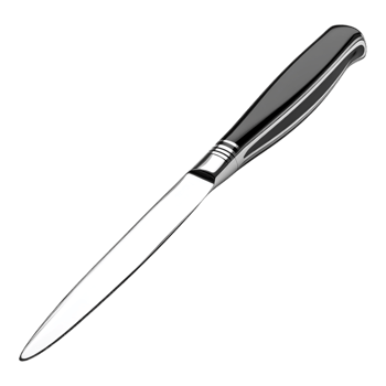 Shiny Flatware Knife for Kitchen Decoration Against Transparent Background png