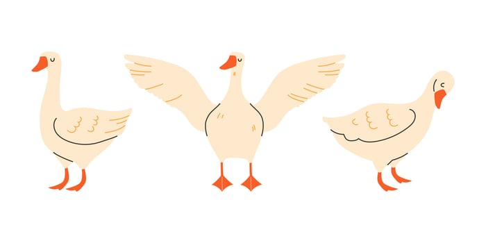Playful geese in flat style on white background vector