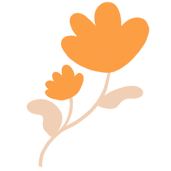hand holding a flower png