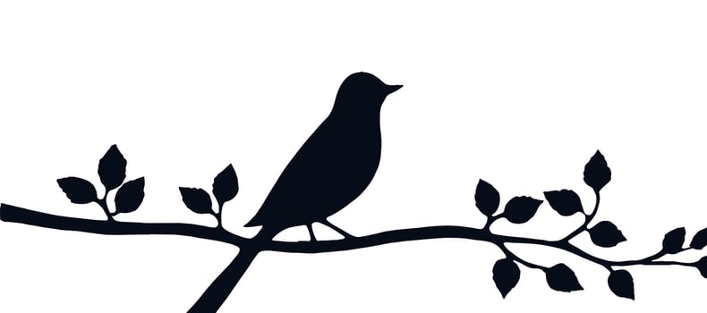 Bird silhouette on branch with leaves vector