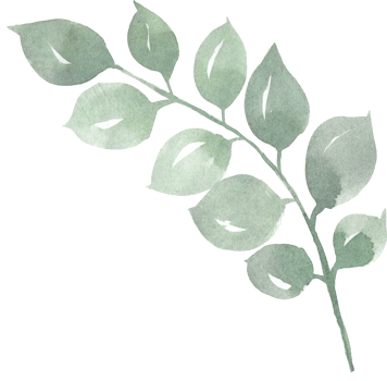 Watercolor green branch illustration png