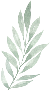 Watercolor green plant leaf illustration png