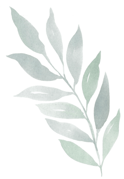 Watercolor greenery botanic leaf illustration png
