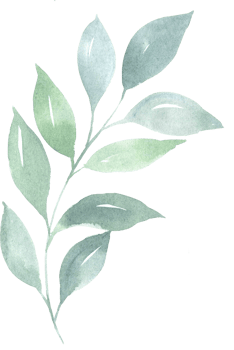 Watercolor green leaf floral illustration png