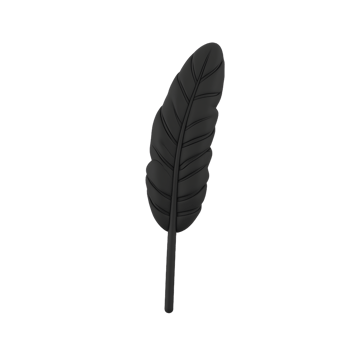 Black Feather Decor Elegant Home Accent Statement Piece png