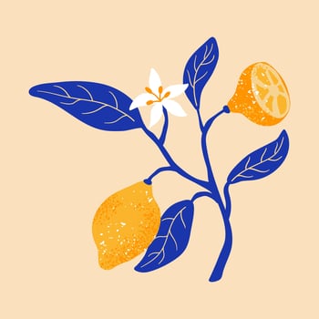 Summer card with branch flowering lemons and leaves. Greek citrus Illustration. design for card, t shirt, decor vector