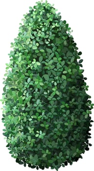 Dense, vibrant green leaves form a conical bush, showcasing natural beauty and symmetry. Ideal for garden design, landscaping, and nature themed projects vector