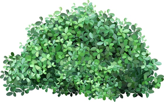 Green bush with dense foliage provides privacy and a natural backdrop, isolated on a white background, perfect for landscape design or nature themed projects vector