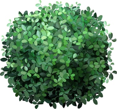 Top view of a perfectly spherical bush with many small green leaves, creating a dense and vibrant foliage, isolated on a white background, suitable for architectural or landscaping visualization vector