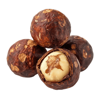 Soap nuts isolated on a Transparent background showcasing their natural texture and color, Soap nut isolated on background png