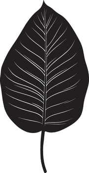 Black illustration of a simple calathea leaf silhouette vector