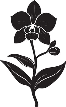 Orchid flower icon black illustration vector