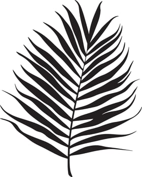 a palm leaf silhouette on a white background vector