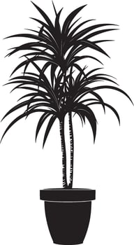 Dracaena plant simple silhouette black illustration vector