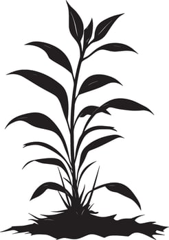 Ginger Plant simple silhouette black illustration vector