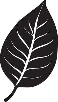 Black illustration of a croton leaf icon vector