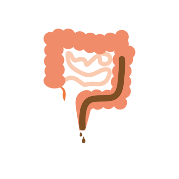Intestines on a tranparent background. Diarrhea. png