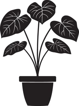 Alocasia icon black illustration vector
