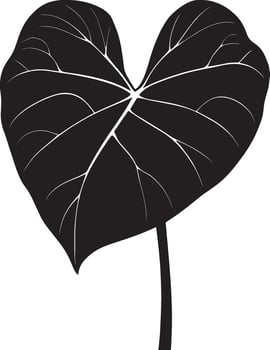 Alocasia leaf simple silhouette black illustration vector