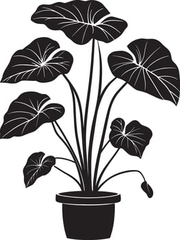 Alocasia silhouette in black style vector