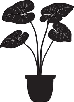 Black illustration of a simple alocasia silhouette vector