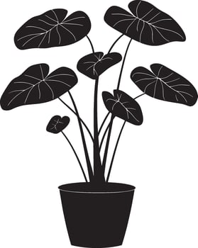 Alocasia simple silhouette black illustration vector