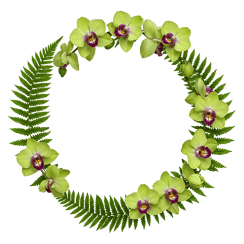 Vibrant floral wreath arrangement botanical art studio digital illustration bright atmosphere close-up view nature inspired design png