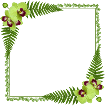 Floral decoration event garden setting graphic design vibrant environment aesthetic viewpoint nature's beauty png