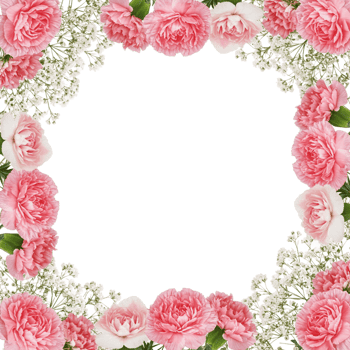Floral arrangement display studio decorative art bright and cheerful eye-level view celebrating nature's beauty png