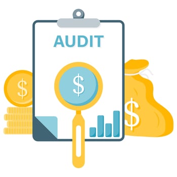 internal financial audit, report and financial illustrations vector