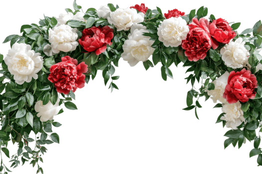 Floral arch with red and white peonies isolated on transparent background png