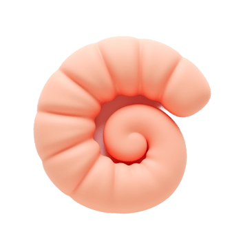 Peach Spiral Shell 3D Render Abstract Background png