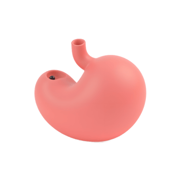 3D Model of Human Stomach Anatomy Illustration png