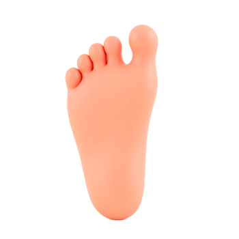 3D Render of a Human Foot Sole for Medical or Health Use png