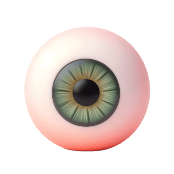 Realistic 3D Eyeball Render Green Iris Anatomy Model png