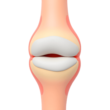 3D Model of a Human Joint Anatomy Illustration png