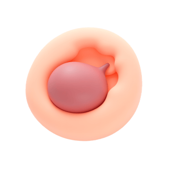 3D Render of a Pink Enema Bulb in a Peach-Colored Cavity png