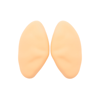Human Parathyroid Glands 3D Render Medical Illustration png