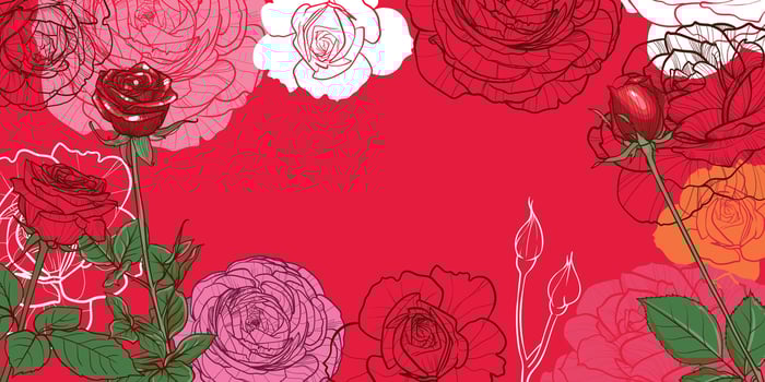 Roses banner template with space for text in the middle. Hand drawn flowers with outline, fills and full colors, easy to scale for both online and print projects. vector