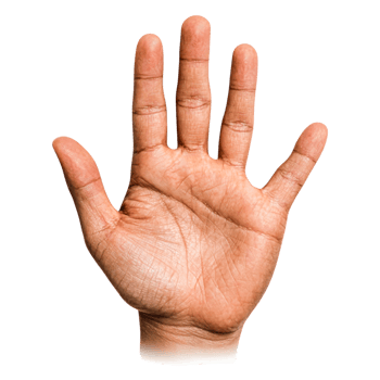 closeup of Human Hand with Open Palm Against Plain Background png