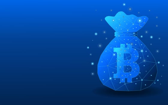 Bitcoin coin money bag in low poly style vector