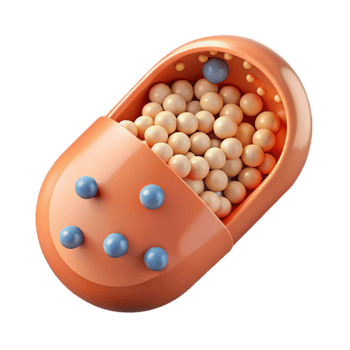 Cellular Respiration Mitochondria Structure and Function png