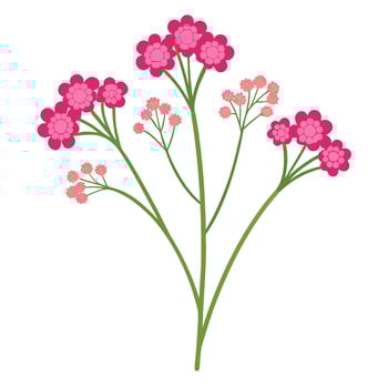 A pink flower with green leaves on a white background vector