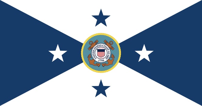 Vice Commandant of the USCG Flag Illustration Premium Quality vector