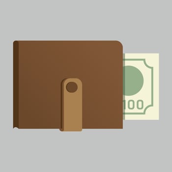colored icon of wallet with banknote on white background vector